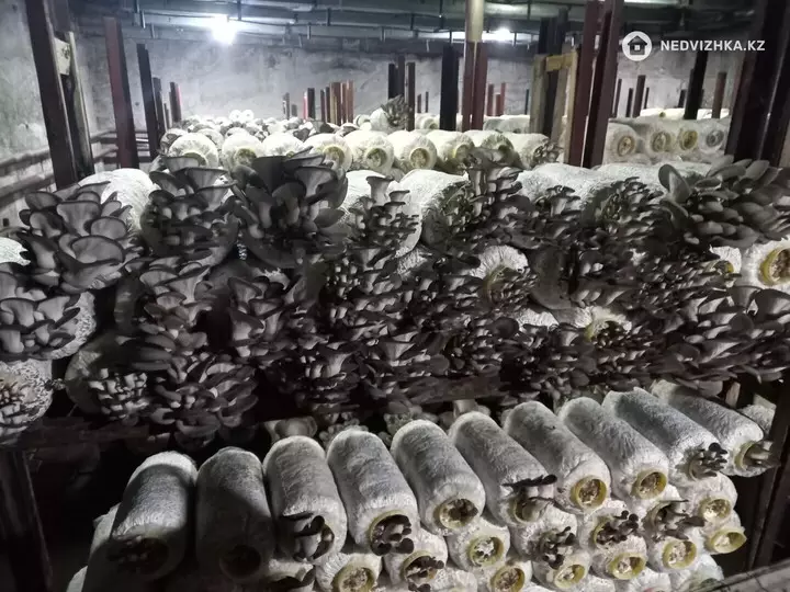 Склад, С/х помещение, 1 этаж, 600 м²