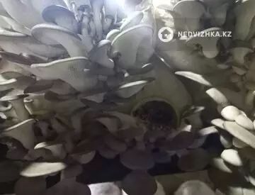 Склад, С/х помещение, 1 этаж, 600 м², миниатюра 7