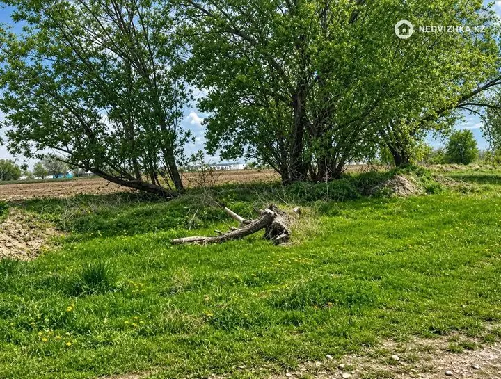 Участок 11.0 соток, фотография 4
