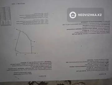 Участок 53.594 га