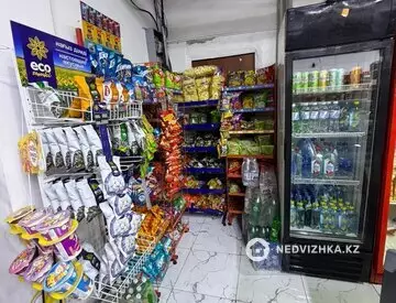 Магазин, этаж 1 из 9, 100 м²