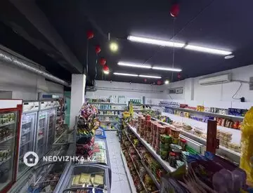Магазин, этаж 1 из 9, 100 м²