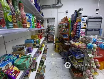 Магазин, этаж 1 из 9, 100 м²