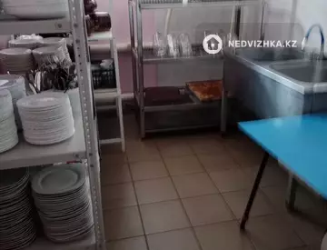 Общепит, 250 м²