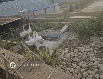 Участок 6.0 соток