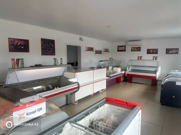 Магазин, Общепит, этаж 1 из 1, 400 м², фотография 4