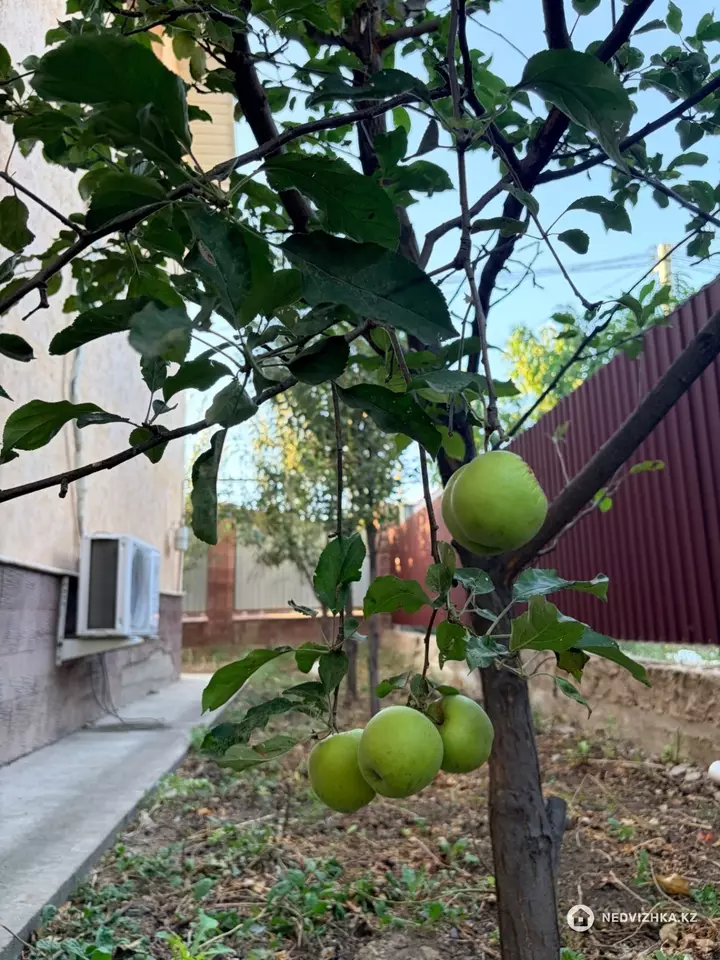 5-комнатный дом, 6 соток, 135 м², фотография 3