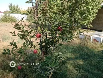4-бөлмелі үй, 13 соттық, 100 м², 11-нобай