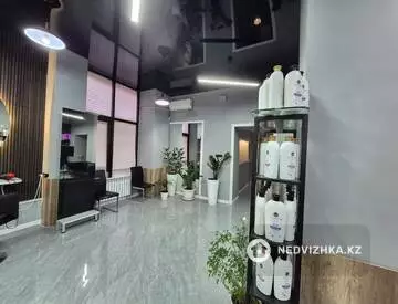 Салон, этаж 1, 101 м², миниатюра 2