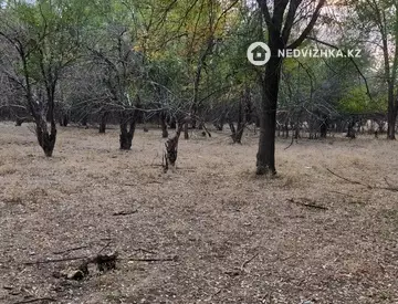 Участок 19.0 соток