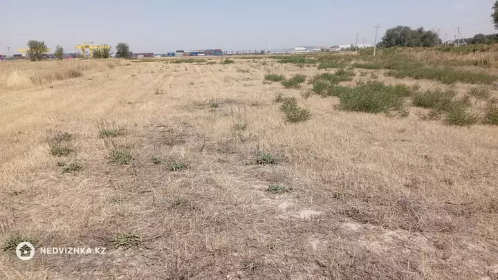 Участок 6.0 соток, фотография 2