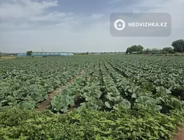 Участок 2.7 га