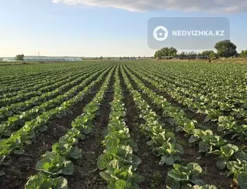 Участок 2.7 га