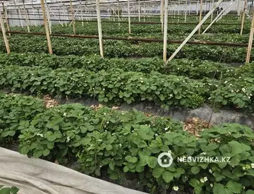 Участок 2.7 га