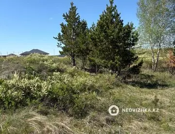 Участок 30.0 соток, миниатюра 2