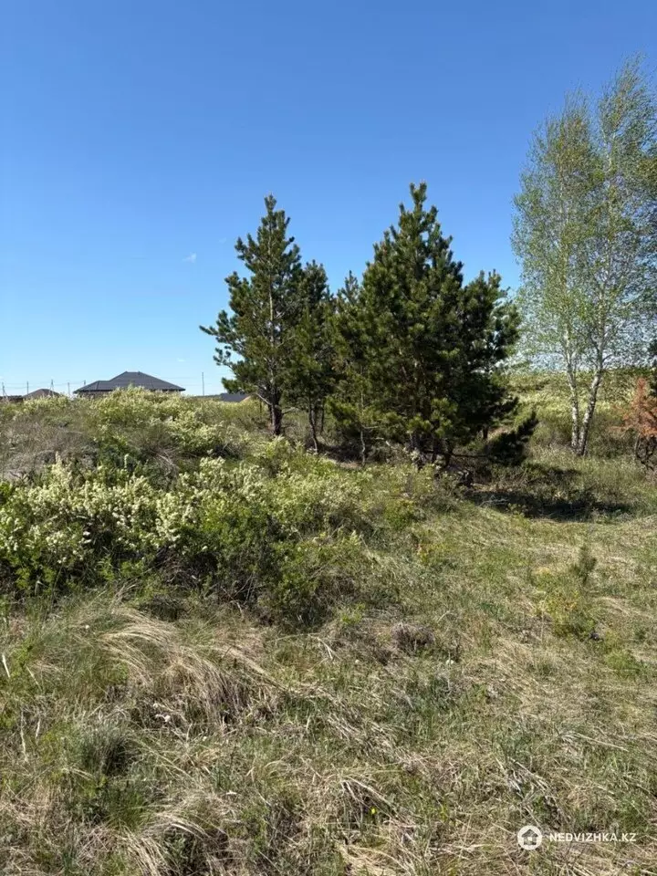 Участок 30.0 соток, фотография 2