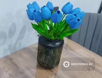 1-комнатная квартира, этаж 5 из 5, 26 м², Посуточно, миниатюра 11