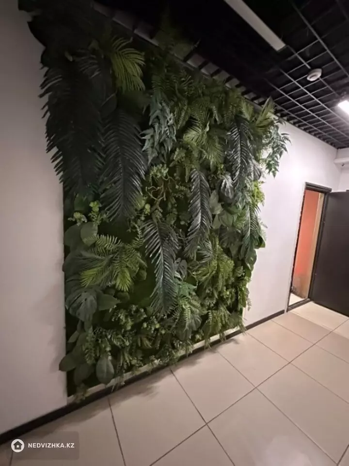 Офис, Магазин и др., этаж 5 из 5, 45 м², На длительный срок, фотография 5