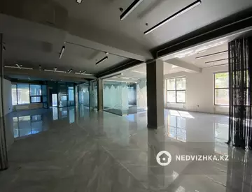 Офис, Общепит и др., этаж 1 из 5, 233 м², На длительный срок, миниатюра 2