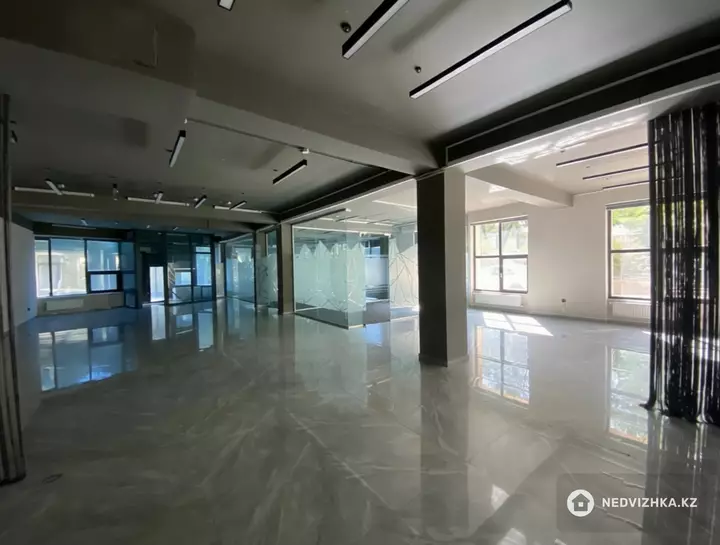 Офис, Общепит и др., этаж 1 из 5, 233 м², На длительный срок, фотография 2