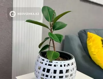3-бөлмелі пәтер, қабат 4 барлық қабат саны 5, 72 м², Посуточно, 11-нобай
