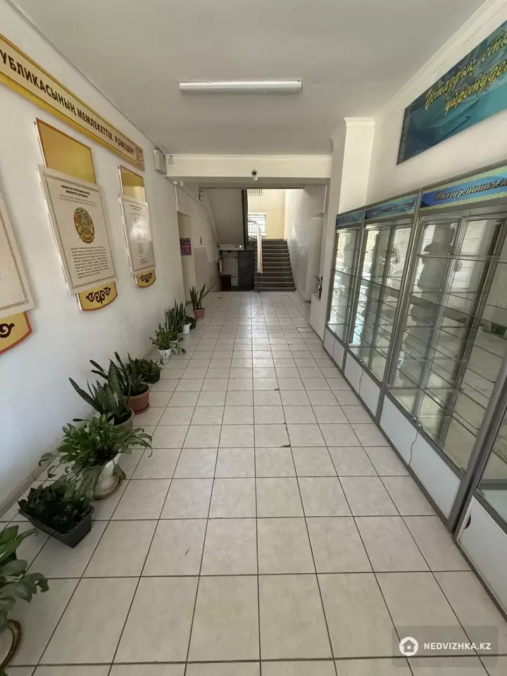 Офис, Общепит и др., этаж 1 из 4, 1 130 м², На длительный срок, фотография 5