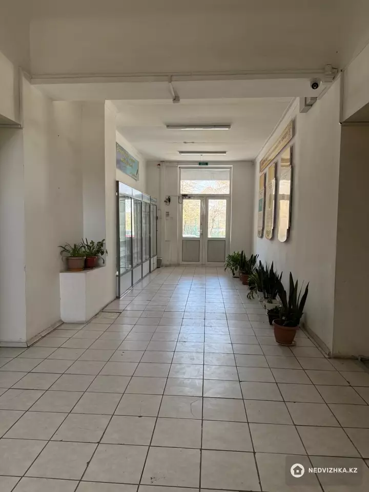 Офис, Общепит и др., этаж 1 из 4, 1 130 м², На длительный срок, фотография 2