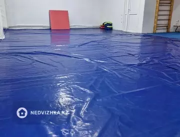 Спортзал, этаж 1, 230 м², На длительный срок