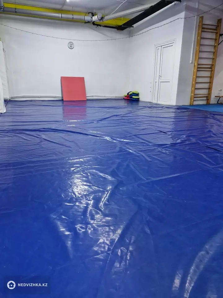 Спортзал, этаж 1, 230 м², На длительный срок, фотография 2