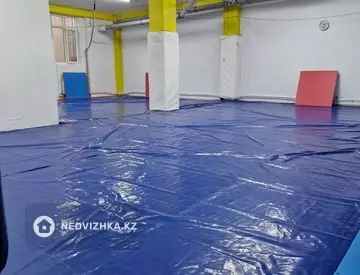 Спортзал, этаж 1, 230 м², На длительный срок