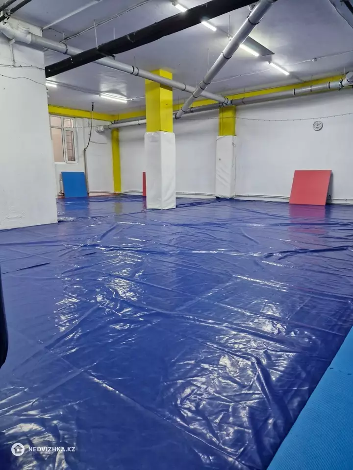 Спортзал, этаж 1, 230 м², На длительный срок, фотография 4