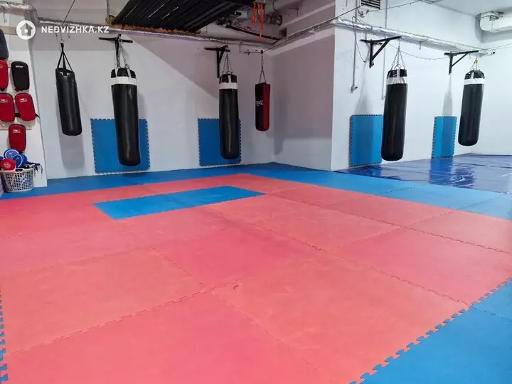 Спортзал, этаж 1, 230 м², На длительный срок, фотография 5