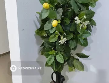 3-комнатная квартира, этаж 3 из 9, 60 м², На длительный срок, миниатюра 12