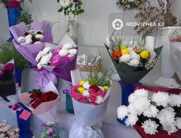 дүкендер мен бутиктер, 22 м², 7-нобай