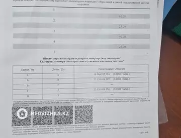 Участок 10.0 соток, миниатюра 4