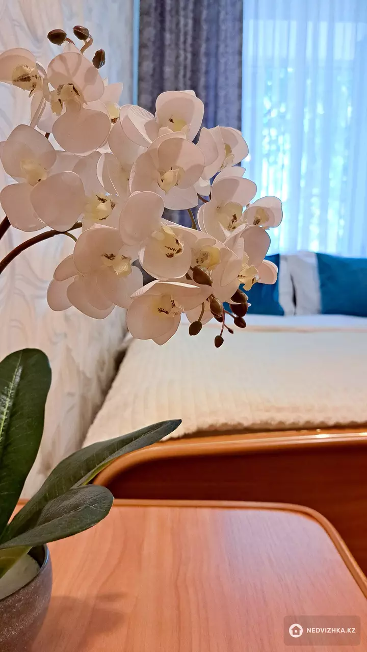 2-бөлмелі пәтер, қабат 3 барлық қабат саны 3, 40 м², На длительный срок, 3-фотосурет