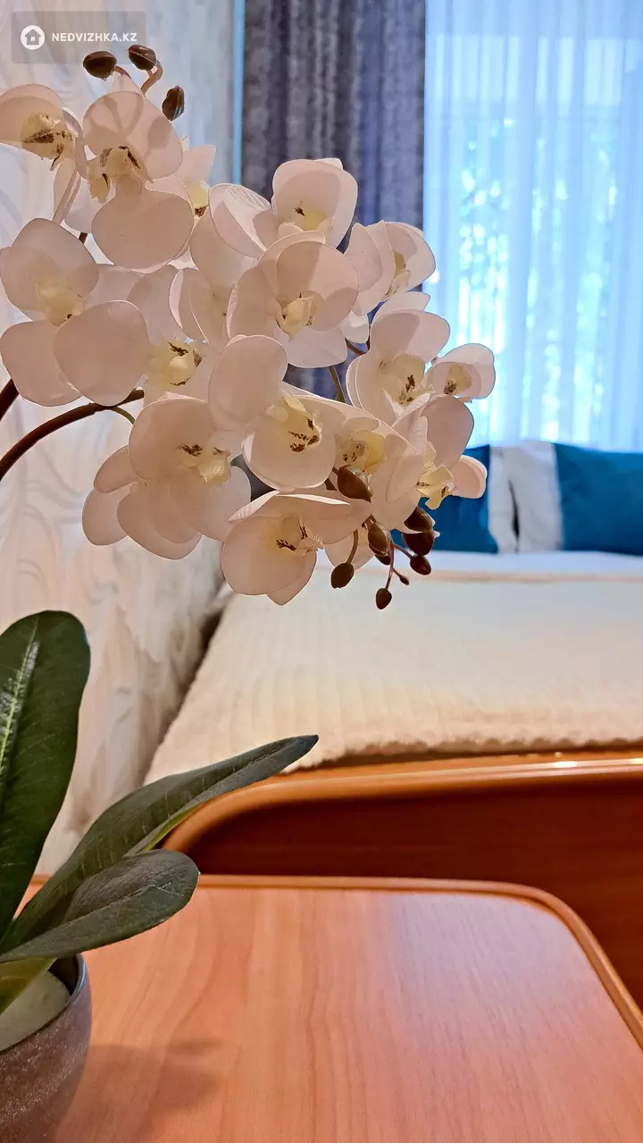 2-бөлмелі пәтер, қабат 3 барлық қабат саны 3, 40 м², Посуточно, 3-фотосурет