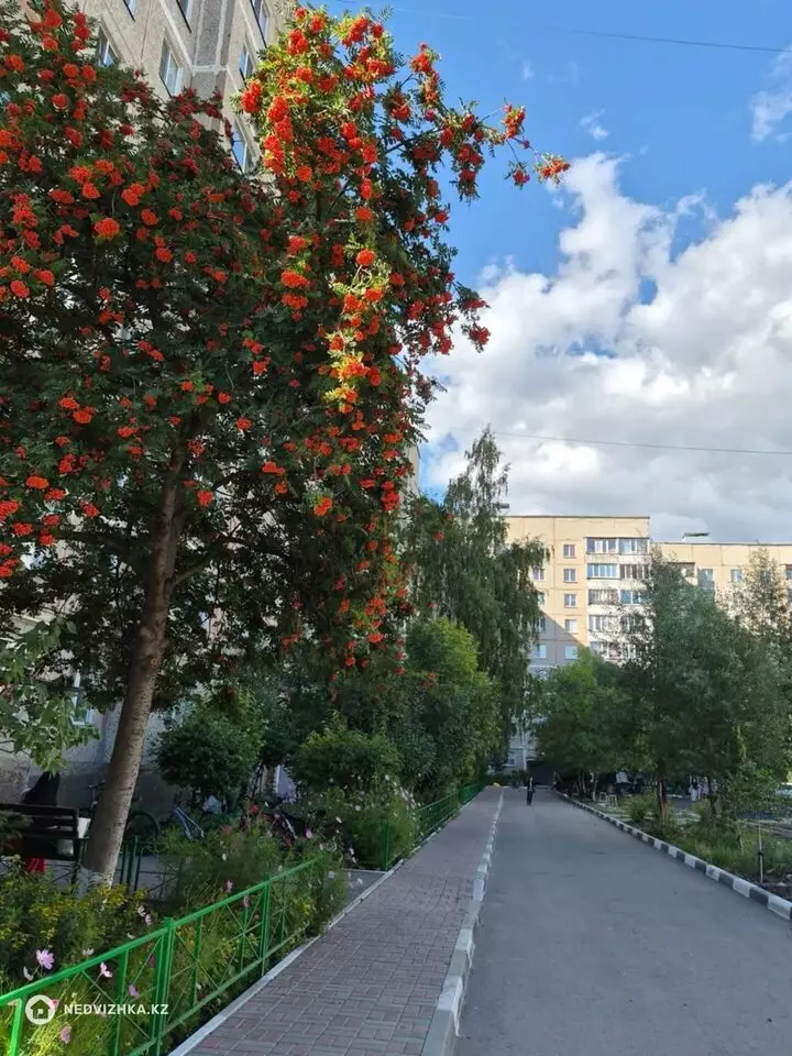 3-комнатная квартира, этаж 6 из 9, 64 м², фотография 4