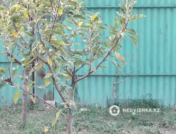 3-комнатный дом, 8 соток, 90 м², миниатюра 2