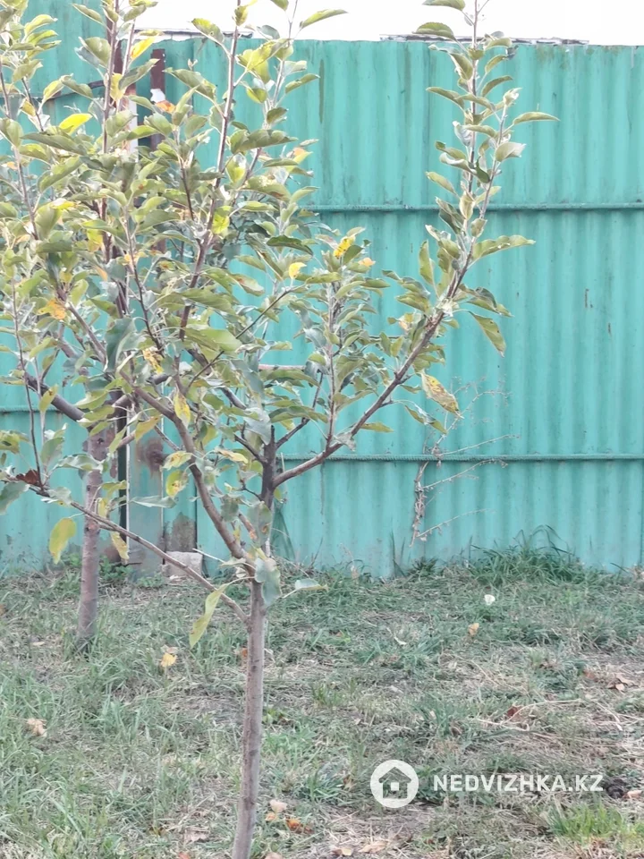 3-комнатный дом, 8 соток, 90 м², фотография 2