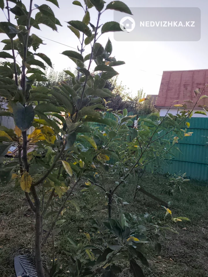 3-комнатный дом, 8 соток, 90 м², фотография 5