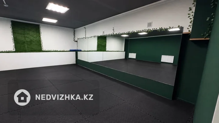 Спортзал, этаж 1 из 9, 179 м², На длительный срок