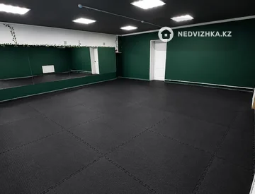 Спортзал, этаж 1 из 9, 179 м², На длительный срок, миниатюра 2