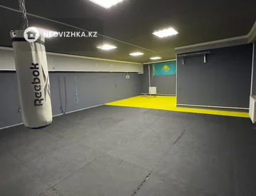 Спортзал, этаж 1 из 9, 179 м², На длительный срок, миниатюра 3