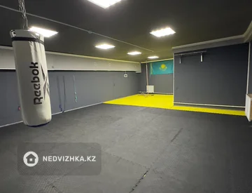 Спортзал, этаж 1 из 9, 179 м², На длительный срок, миниатюра 4
