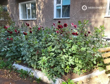 3-комнатная квартира, этаж 2 из 4, 75 м², миниатюра 7