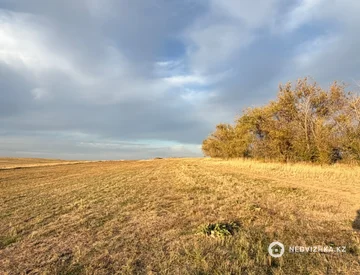 Участок 75.0 соток, миниатюра 3