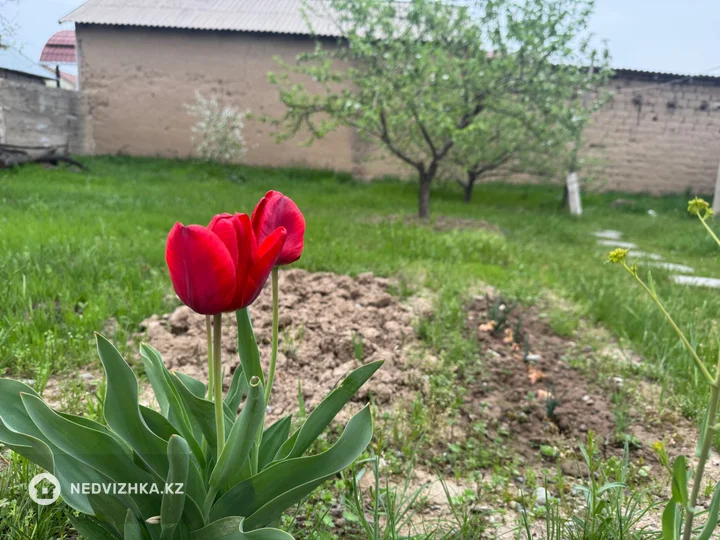 3-комнатный дом, 5.6 соток, 78 м², фотография 4