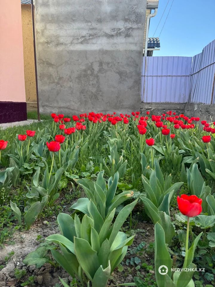 3-комнатный дом, 5.6 соток, 78 м², фотография 5