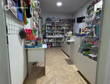 Офис, Магазин и др., этаж 1 из 9, 30 м², миниатюра 1